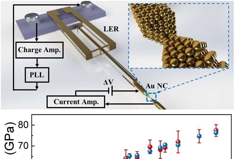 No small measure: probing the mechanics of gold contacts at the nanoscale