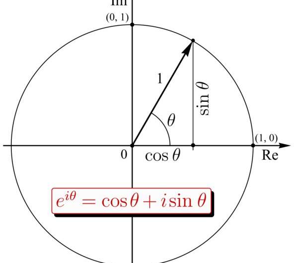 Non-inertial torques and the Euler equation