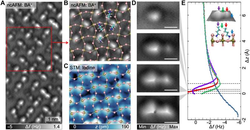 Non-invasive imaging of atomic arrangement at the sub-angstrom scale in 2-D hybrid perovskites