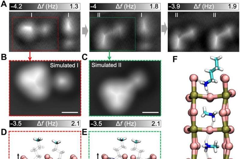 Non-invasive imaging of atomic arrangement at the sub-angstrom scale in 2-D hybrid perovskites