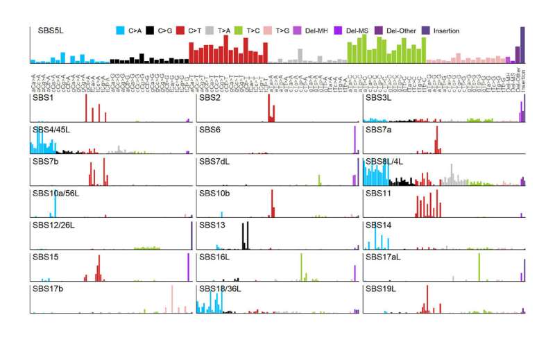 Not individual genes but the “mutational signatures” of many genes hold the key to better cancer therapies