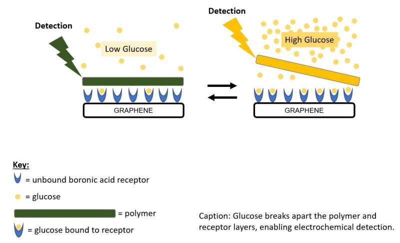 Novel chemical glucose sensing method based on boronic acids and graphene foam
