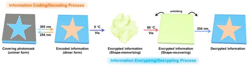 Novel fluorescent organohydrogel proposed to achieve dual information encryption