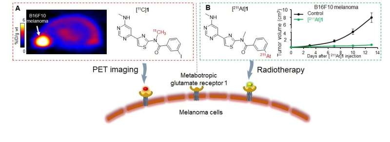 Novel radiopharmaceutical pair detects and treats melanoma; study shows potential for broad application in solid tumors