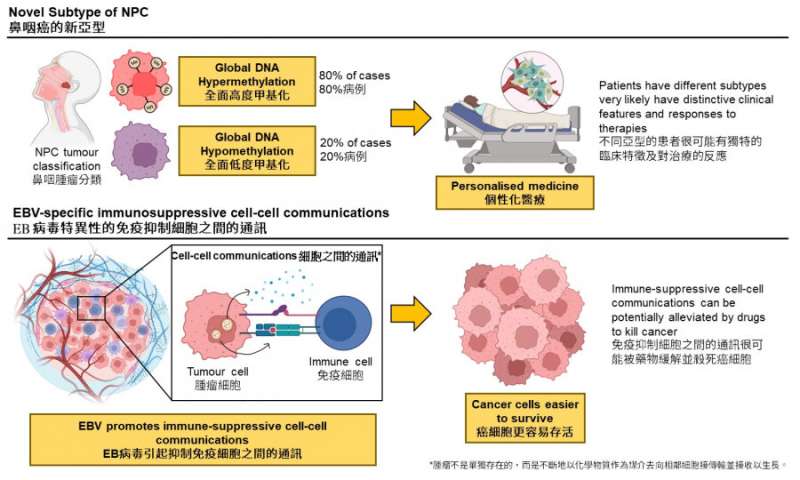 Novel subtype of nasopharyngeal carcinoma and epstein-barr virus associated immune suppression