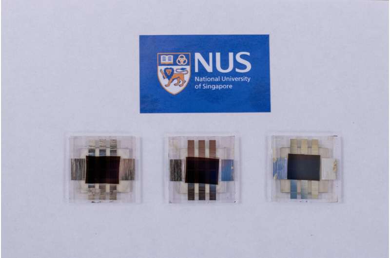 NUS research team sets new efficiency record for solar cell technology