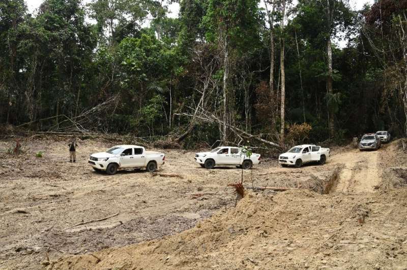 Officials from Para State, northern Brazil, inspect a deforested area in the Amazon rain forest on September 22, 2021; a new rep