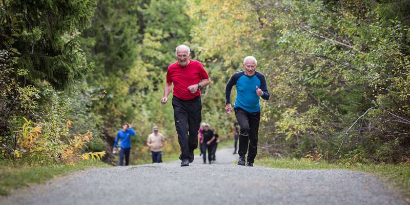 Older people in good shape have fitter brains