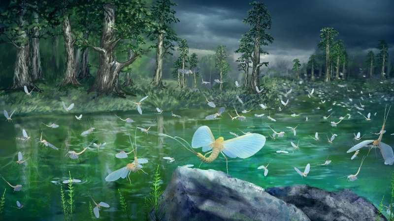 Oldest insect resource pulses revealed by fossils from China