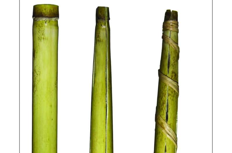 Oldest known drinking straws identified