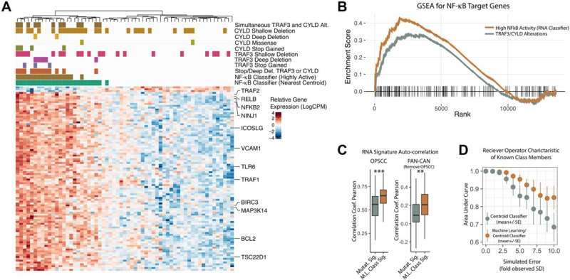 Oncotarget | NF-κB over-activation portends improved outcomes in HPV-associated head and neck cancer
