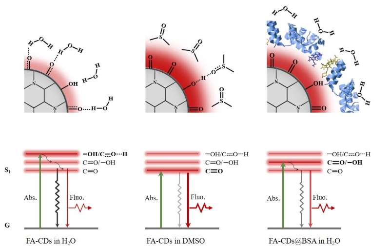 One step synthesis of efficient red emissive carbon dots and their bovine serum albumin composites with enhanced multi-photon fl