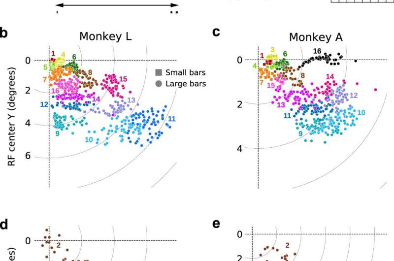 Open-access dataset of macaque brain published