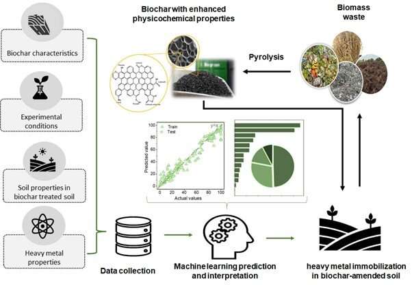 Optimizing the Mitigation of Heavy Metal Pollution in Biochar-treated Soils with Machine Learning