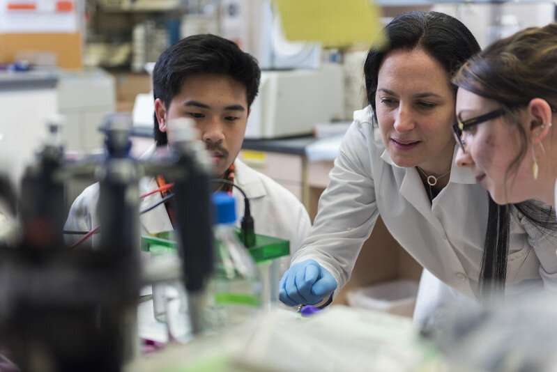 Oregon State researchers identify potential new means of slowing neurodegenerative diseases
