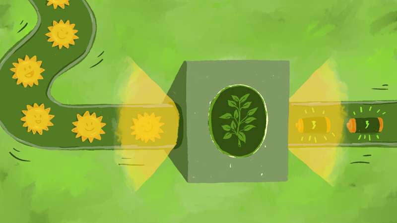 Our next renewable energy source could be an artificial leaf