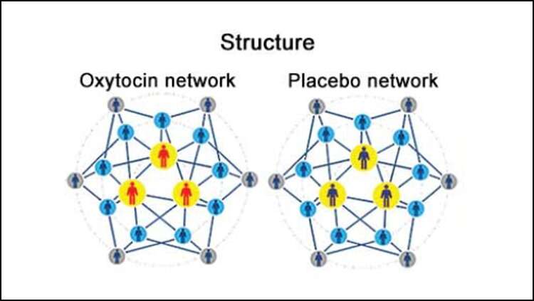 Oxytocin spreads cooperation in social networks