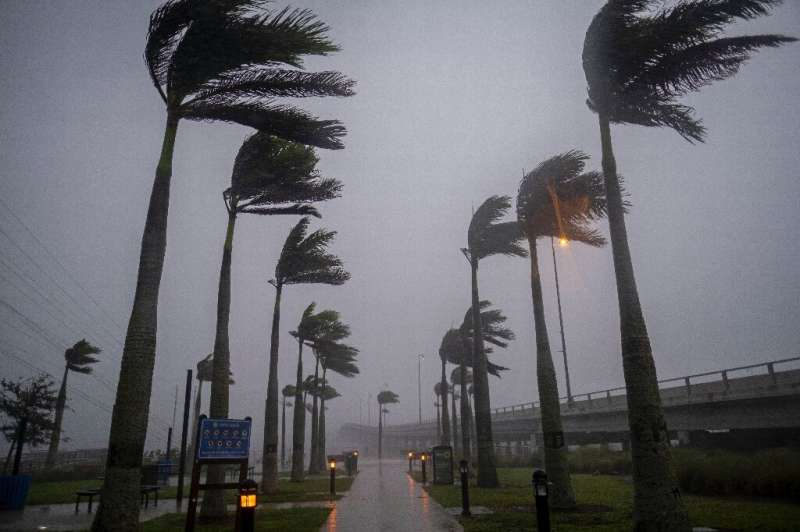 Palm fronds are blown horizontal as Hurricane Ian nears  Charlotte Harbor, Florida