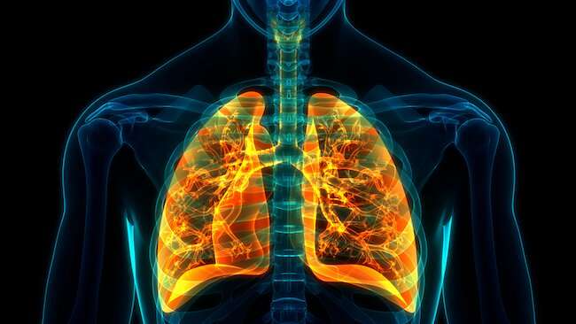 Partial bone marrow transplant 'rescues' mice with cystic fibrosis