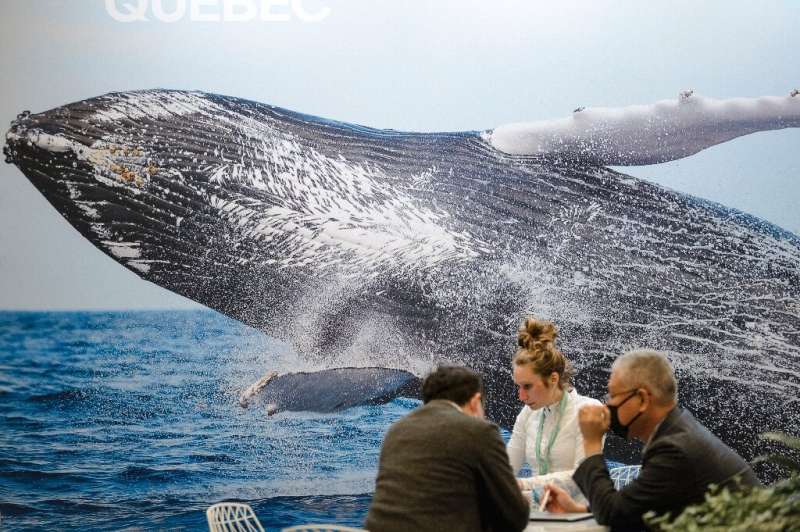 Participants speak beside a whale picture during the United Nations Biodiversity Conference of the Parties (COP15) in Montreal, 