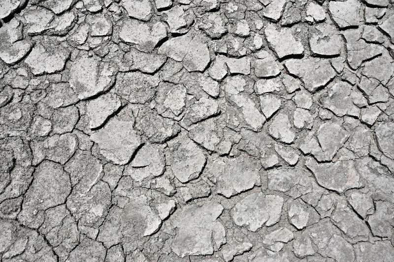Partes del lecho del río Po se han secado por completo a medida que empeora la sequía.