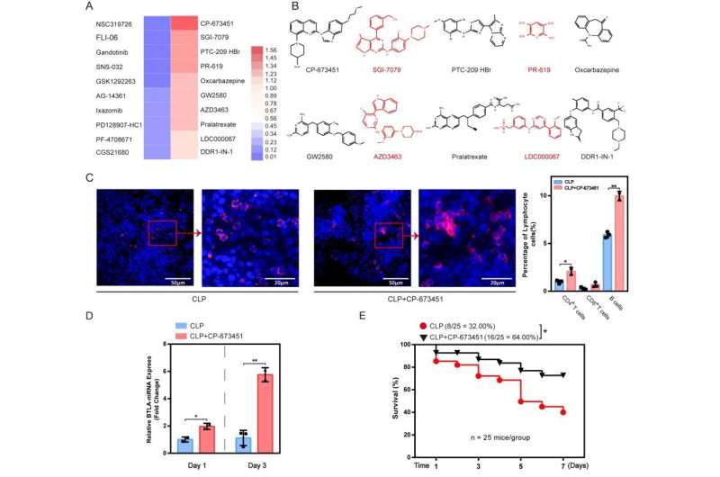 PDGFR kinase inhibitor protects against septic death via regulation of BTLA