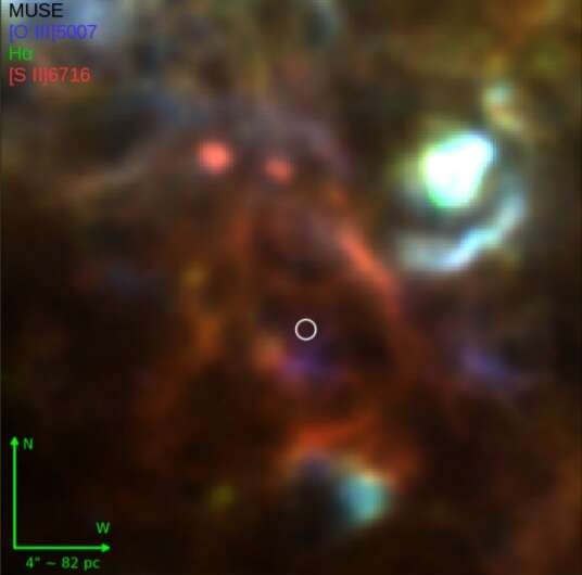 Peculiar ionized structures, supernova remnants detected around an ultraluminous X-ray source