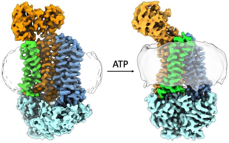 Peering into the structure of antibiotic resistance