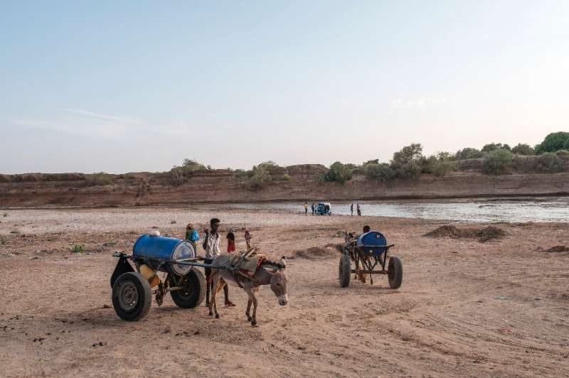 People take carts pulled by emaciated donkeys to the Shabelle River in  Gode, Ethiopia, to draw water for their parched herds