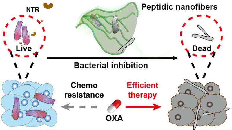 Peptidic supramolecular assemblies enhance chemotherapy for colorectal cancer