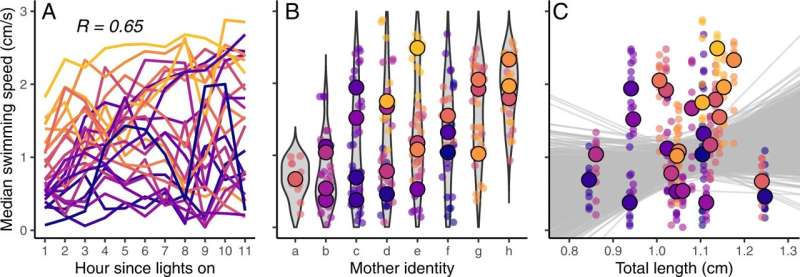 Personality differences from day one after birth despite identical genes and identical environment