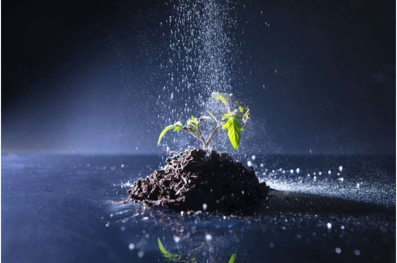 PETRA III shines a light on efficient production technique for a novel 'green' fertilizer