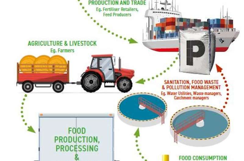 Phosphorus supply is increasingly disrupted—we are sleepwalking into a global food crisis