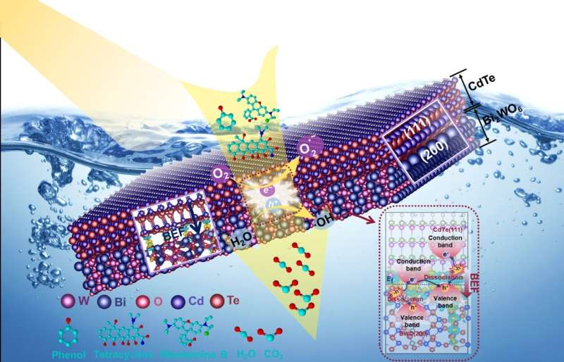 Photocatalysts with built-in electric field helps to remove pollutants from water