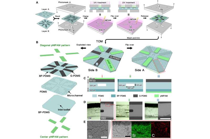 Plant-inspired TransfOrigami microfluidics