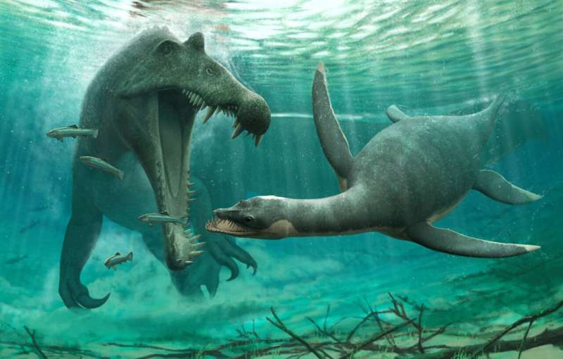 Plesiosaur fossils found in the Sahara suggest they weren’t just marine animals