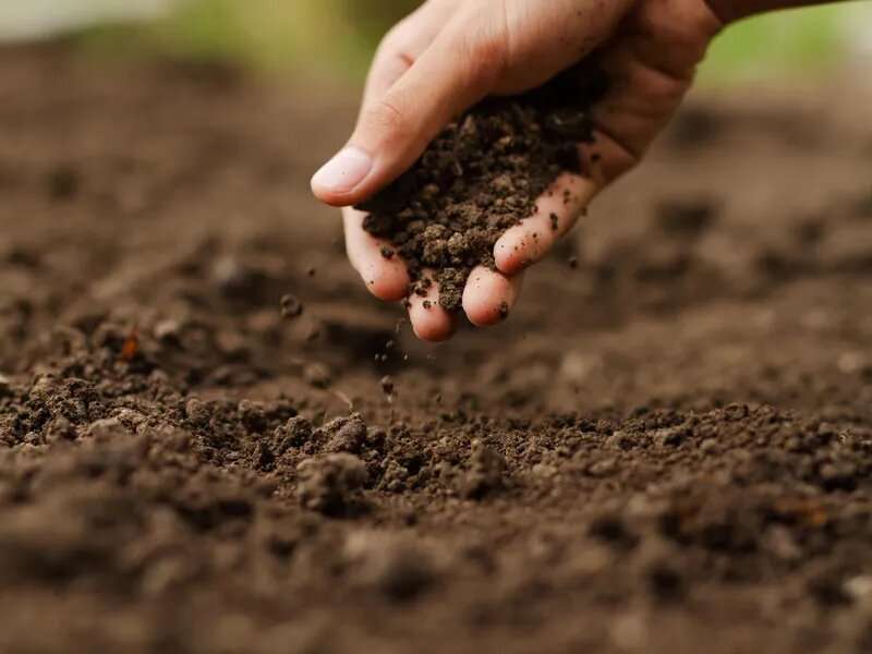 Pollutants in soil can harm your heart