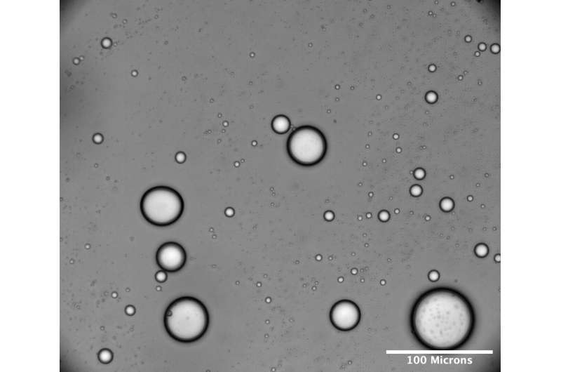 Polyester chemistry highlights possible role of microdroplets in the origin of life