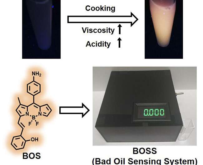 La sonde fluorescente portable identifie la mauvaise huile de cuisson