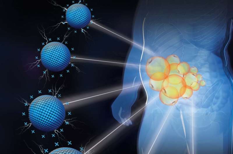 Positively charged nanomaterials treat obesity anywhere you want