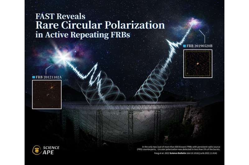 Precise FAST observations reveal circular polarization in active repeating fast radio bursts