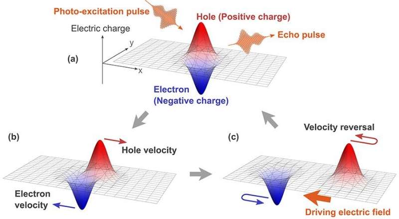 Predicting new quantum echoes—ultrafast lightwave control of electrons in crystals