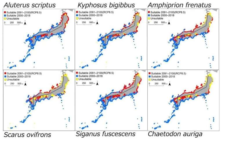 Predicting tropical fish patterns in Japan