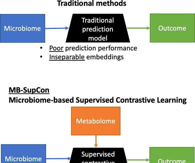Predictive model uses gut microbes to forecast human diseases, health outcomes