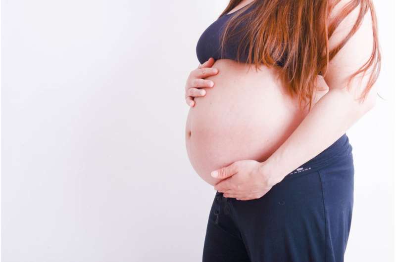 pregnant fat