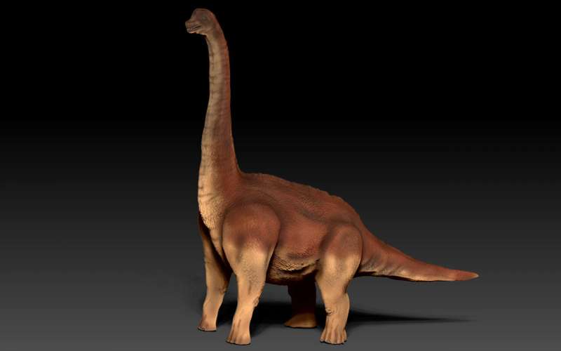 Podología prehistórica: cómo los dinosaurios llevaron su enorme peso