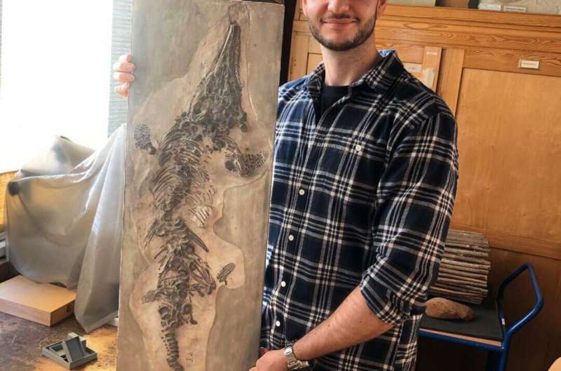 Prehistoric reptile casts turn out to be copies of priceless fossil destroyed in WWII
