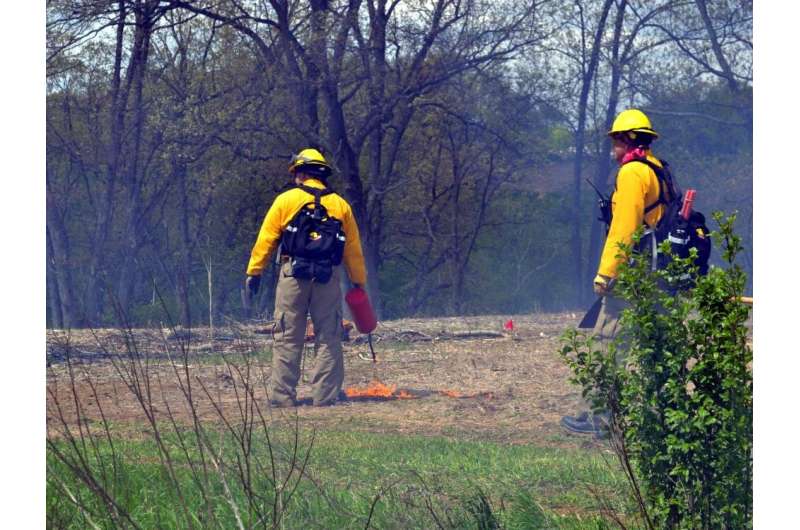 Prescribed fire could reduce tick populations and pathogen transmission