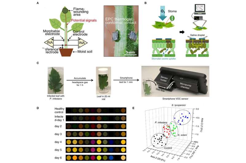 Promising uses of non-destructive sensors to aid food security and enhance sustainable agriculture