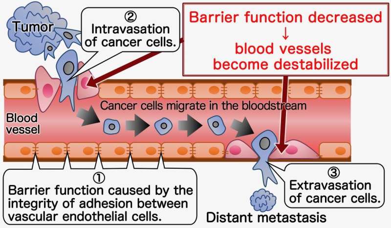 Promotion of cancer progression via extracellular vesicles